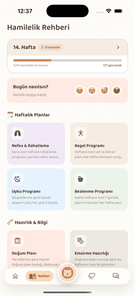 Baby Wallie — Schwangerschafts-Ratgeber ekranı