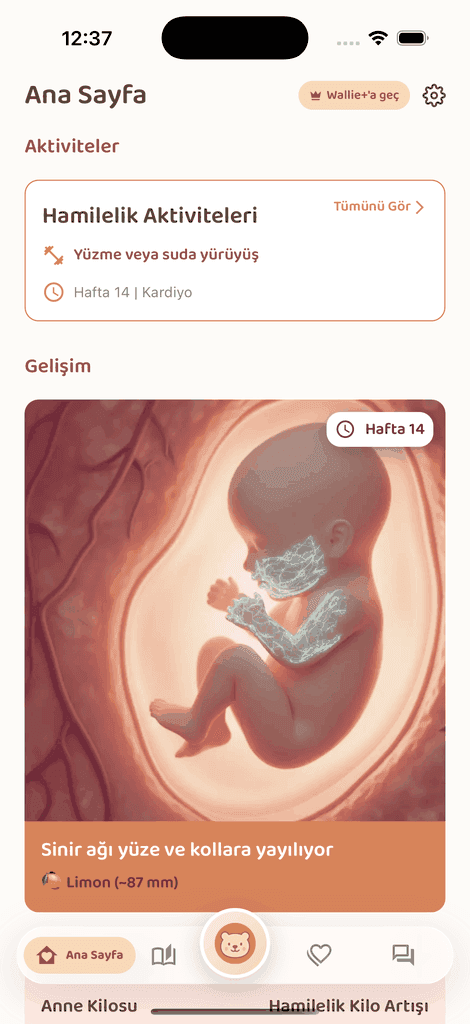 Baby Wallie — Babyentwicklung Woche für Woche ekranı